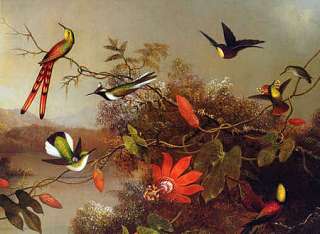 LARGE FRAMED HEADE Hummingbird Painting Repro CANVAS  