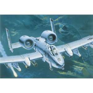   A10A Jaws Twin Engine Assault Aircraft (Plastic Models): Toys & Games