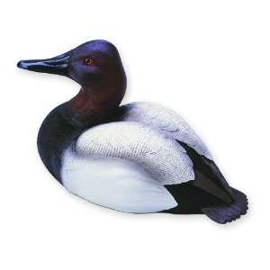   Quarter Life Size Canvasback Drake Duck Sculpture