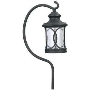  LED Seeded Glass Black Finish Path Light with Hook