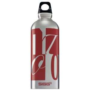 Sigg Hot & Cool Water Bottle (17 Ounces):  Sports 