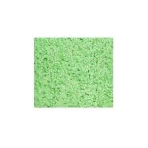  4x4 Ft Square Lime Green Shag Rug: Everything Else