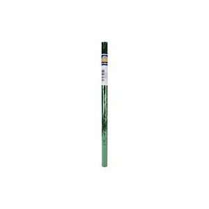  Cellophane Wrap 30 Wide 5 Foot Roll Green: Arts, Crafts 