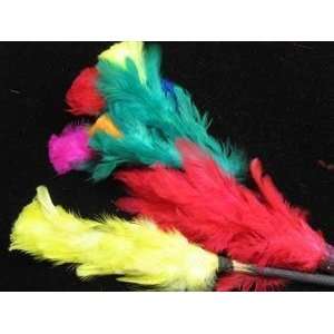    Color Changing Plumes to Bouquet   MINI   Magic Tr: Toys & Games