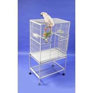  Prevue Pet Products F030 Aviary Flight Cage, White Pet 