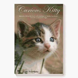  Sensory Visual Curious Kitty Dvd