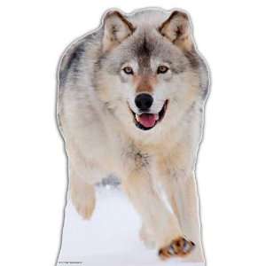 Wolf   Wildlife/Animal Lifesize Cardboard Cutout / Standee / Standup 