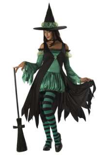 Emerald Witch Teen Halloween Costume  