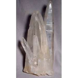  Quartz Natural Diamantina Laser Crystal Cluster   Brazil 