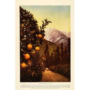 1913 Print California Landscape Orange Groves Mountain Antique Touring 