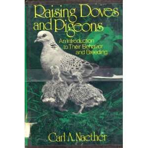 Raising doves and pigeons An introduction to their behavior and 