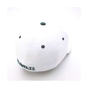 Hawaii Rainbow Warriors Team Logo Flex Fit Hat (White):  
