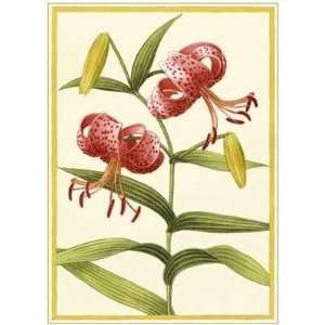  Tiger Lily Poster Print: Home & Kitchen