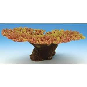  Yellow/Green Table Coral for Aquariums