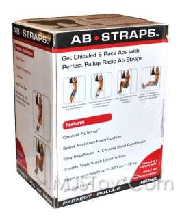 NIB Perfect Pullup Basic Ab Straps Complete 6 Pack Abs Workout + 21 