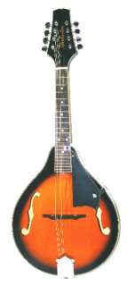   Mandolin String Acoustic Guitar Fiddle A Style Frame Music Glen Burton