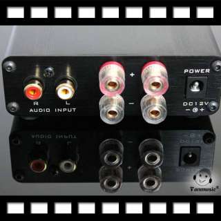   TA2024 Class T Amp Headphone amplifier Stereo Amplifier silver  