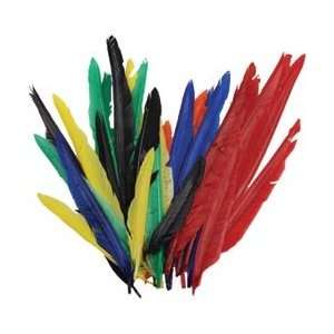  Fibre Craft Indian Feathers 40/Pkg Assorted Colors 25101 