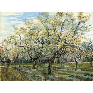  Van Gogh Art Reproductions and Oil Paintings The White 