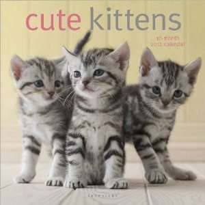  Cute Kittens 2012 Wall Calendar: Office Products