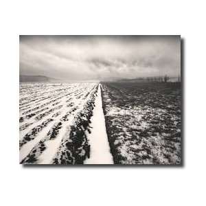  Stormy Field Giclee Print