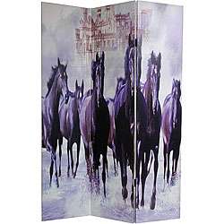 Canvas Double sided Horses Room Divider (China)  Overstock