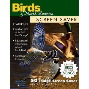 Impact Photographics Screen Saver Birds of North America  