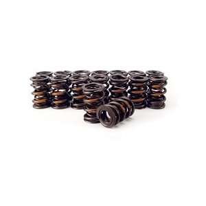    Competition Cams 919 16 DUAL VALVE SPRINGS 1.550: Automotive