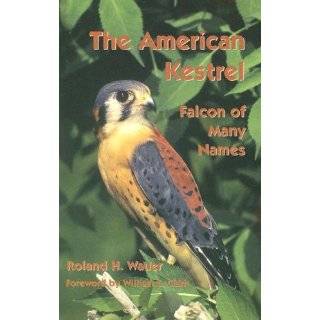 The American Kestrel Falcon of Many Names by Roland H. Wauer and 