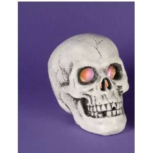   Changing Lighted Spooky Skull Halloween Decoration