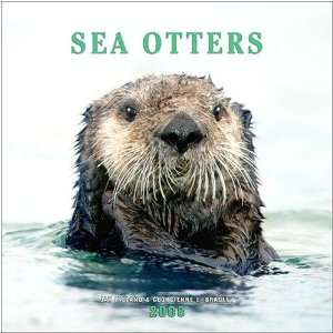  Sea Otters 2008 Wall Calendar