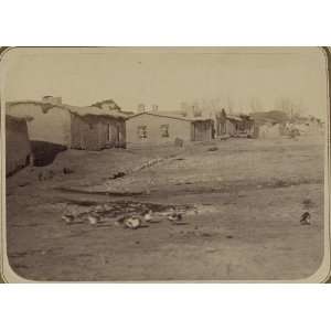 Russian settlement,structures,Chinaz,Syr Darya,c1865 