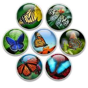   Decorative Push Pins or Magnets 7 Small Butterflies: Kitchen & Dining