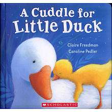 Cuddle For Little Duck Book   Scholastic   