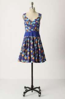 Anthropologie   Centifolia Corset Dress  