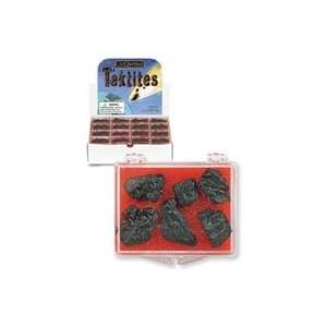  Tektites to go Rocks from Space Toys & Games