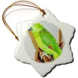 Yellow Nape Parrot   3 Inch Snowflake Porcelain Ornament