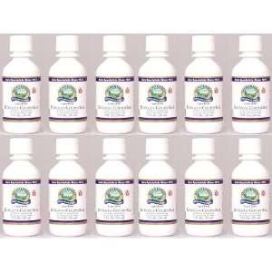   Immune System Alcohol Free Herbal Extract 2 fl.oz (Pack of 12) Health
