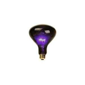  Black Spotlight Bulb (75 Watt): Home Improvement