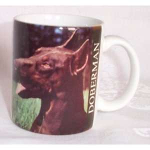 Brown Doberman Pinscher Dog Photo Coffee Mug:  Kitchen 