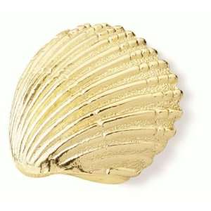  Designs Scallop Shell Knob (SD64124)   Bright Brass