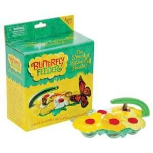  Insect Lore   Butterfly Feeder (Science): Toys & Games