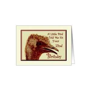  Birthday / 72nd / Ostrich /Humorous Card Toys & Games