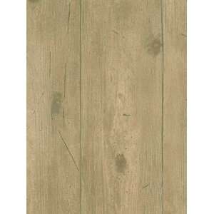  Faux Wood Plank Wallpaper in No Place Like Home