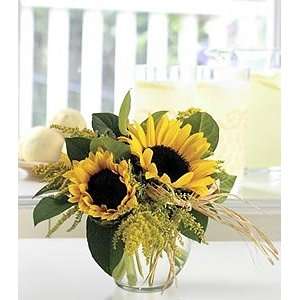  Sassy Sunflowers   Same Day Delivery Available Patio 