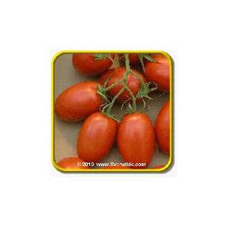  1 Oz Open Pollinated Tomato Seeds   Roma Bulk Vegetable Seeds 