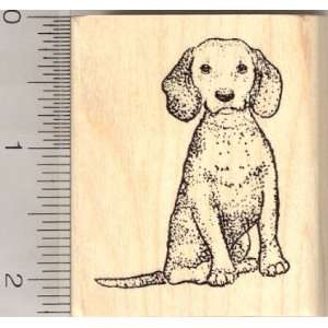  Beagle Dog Rubber Stamp: Arts, Crafts & Sewing