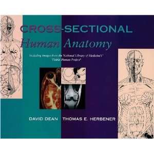  Cross Sectional Human Anatomy [Spiral bound]: David Dean 
