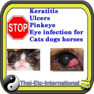   Opthalmic eye Ointment Cat Dog Horse conjunctivitis keratitis  