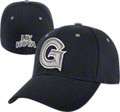 Georgetown Hoyas Infant Team Color Top of the World Flex Hat
